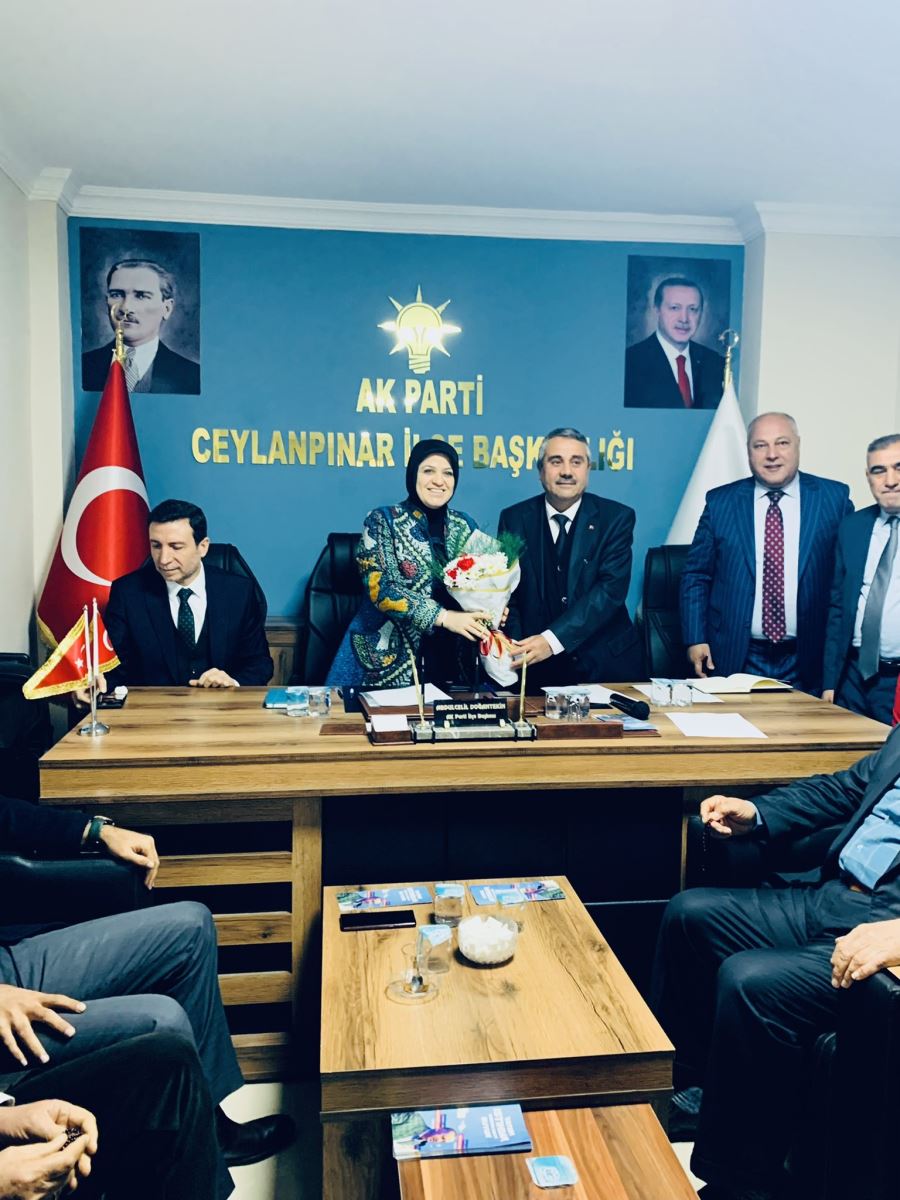 AK Parti Yerel Yönetimler Başkan Yardımcısı ve Trabzon Milletvekili Ayşe Sula Köseoğlu, Ceylanpınar’da temaslarda bulundu.