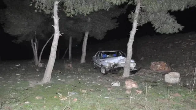 Ceylanpınar Viranşehir Yolunda Kaza: 3 Yaralı