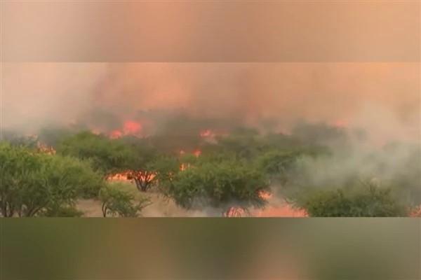 Orman yangınları Şili