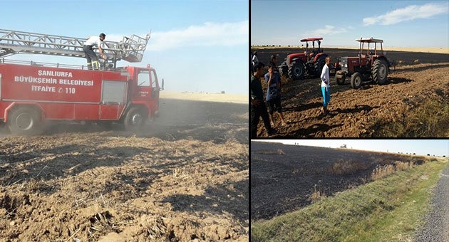 Ceylanpınar Aydoğdu köyünde 40 dönümlük arazi kül oldu.
