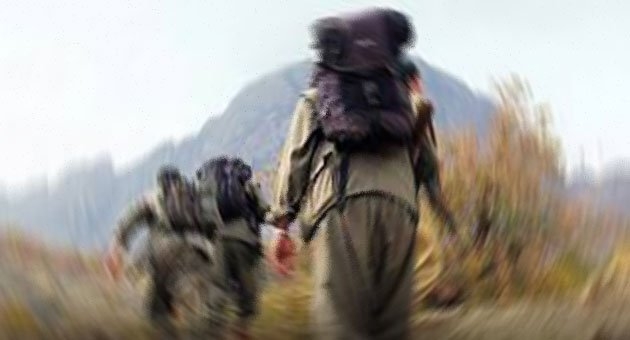 Ceylanpınar`da eylem hazırlığındaki 4 PKK`lı yakalandı