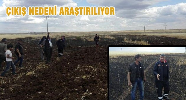 Siverek`te 80 dönüm ekili arazi yandı