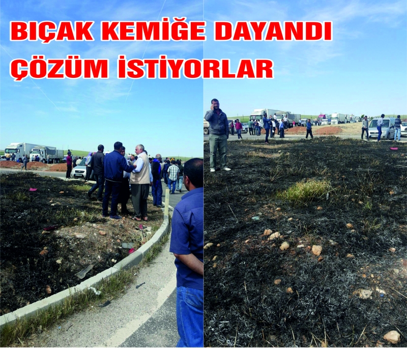 Urfa Viranşehir Yolu Trafiğe Kapandı ; Çiftçiler Eylemde