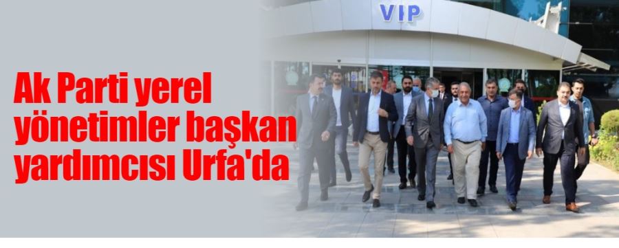 Ak Parti yerel yönetimler başkan yardımcısı Urfa