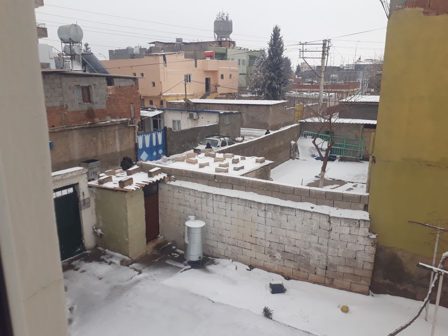 Ceylanpınar