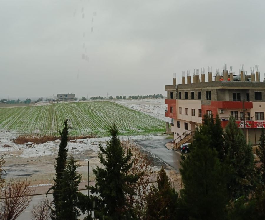 Ceylanpınar