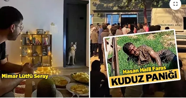 Şanlıurfa’da 2 Ay Bile Olmadan Kuduzdan 2 Kişi Öldü