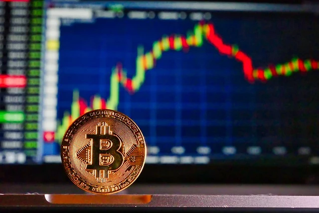 Bitcoin, varlık sınıfı sırasına lütfen