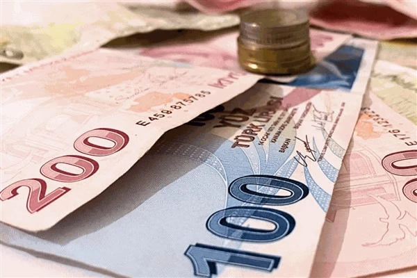 Türkiye Aile Destek Programı kapsamında 4 milyar lira ödeme yapılacak