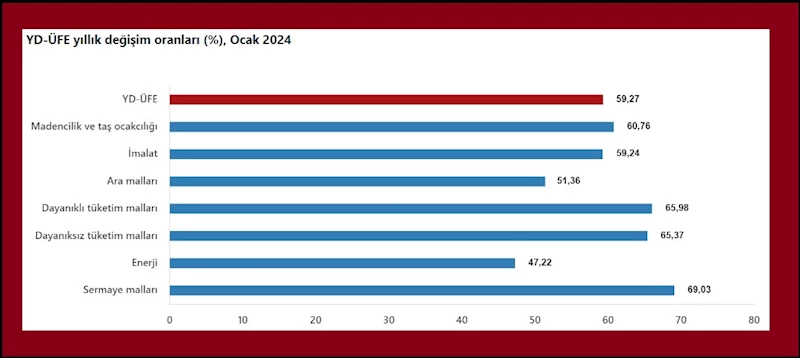 TÜİK-Yurt dışı üretici fiyatları Ocak