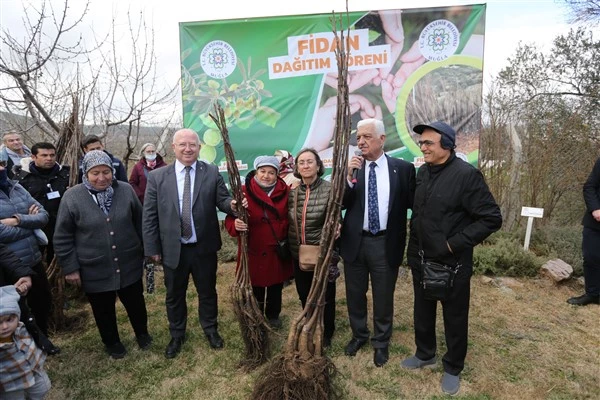 Muğla Büyükşehir, üreticilere meyve fidanı dağıtımına başladı