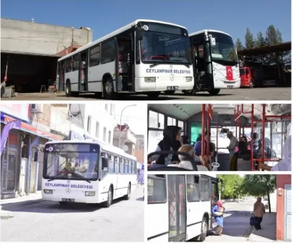 Ceylanpınar Belediyesi ücretsiz toplu taşıma hizmeti vermeye başladı