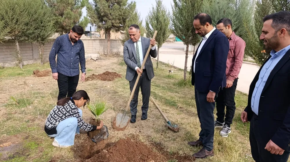 Ceylanpınar’da “Geleceğe Nefes” Olmak İçin Fidanlar Toprakla Buluştu