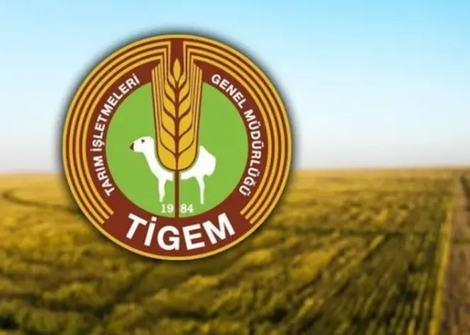 Ceylanpınar TİGEM Personel alım kura sonuçları açıklandı. 