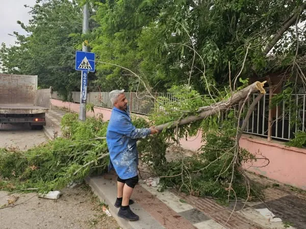Ceylanpınar’da Şiddetli Rüzgar Etkili Oldu
