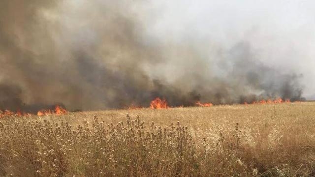 Akçakale`de 92 dönümlük Tarla Kül Oldu