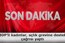 Ceylanpınar BDP?de Açlık Grevi 