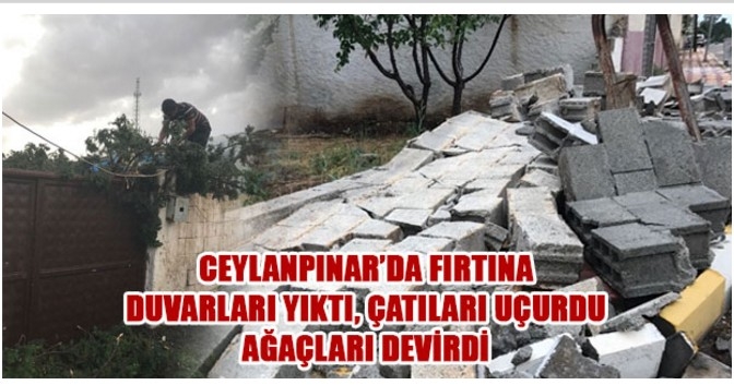 Ceylanpınar `da Yağış Ve Fırtına Hayatı Olumsuz Etkiledi