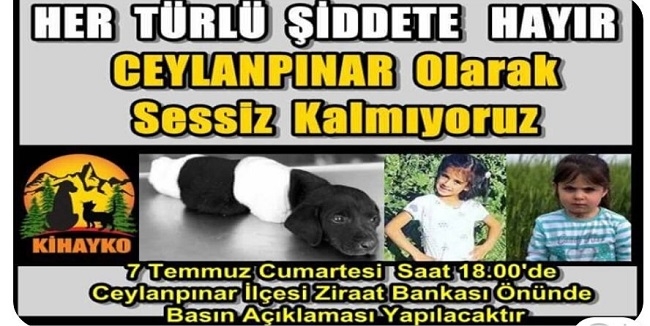 Ceylanpınar  ?Her Türlü Şiddete Hayır? Diyecek