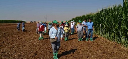 Ceylanpınar Tarım İşletmesi?nde Teknik İnceleme 