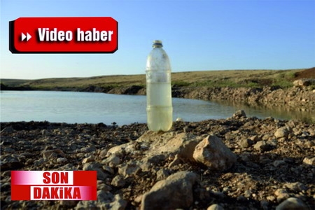 Ceylanpınar?da 10 yaşındaki çocuk, suda can verdi