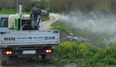 Ceylanpınar?da Haşere Bolluğu Yaşanıyor