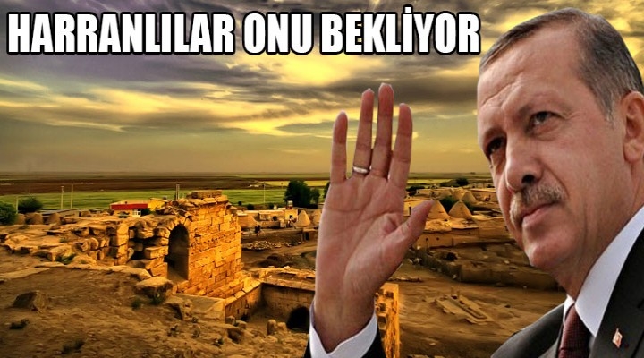Cumhurbaşkanı Bu Kez Harran İçin Geliyor