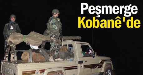 Peşmerge Kobani`de