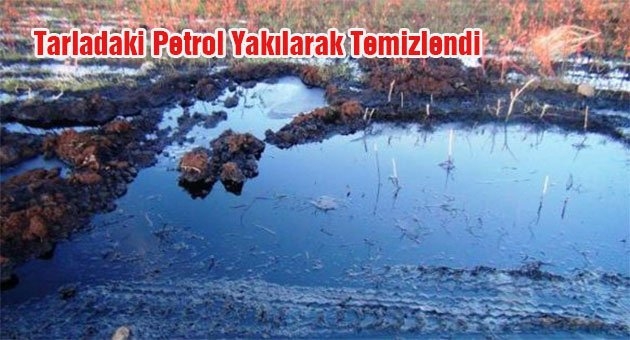 Siverek?te Petrol Sızıntısı Bu Hale Getirdi