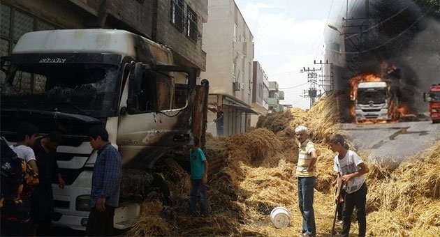 Urfa?da TIR?da Kül Oldu Saman da
