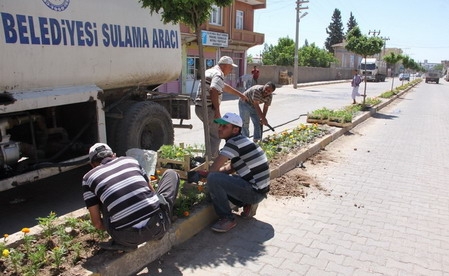 Viranşehir Caddesi çiçek açtı 