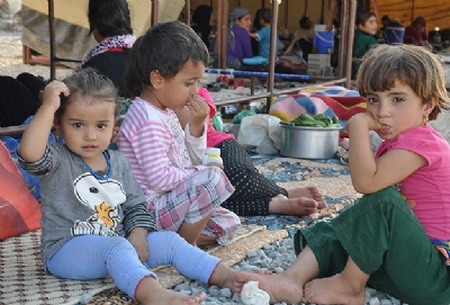 Yezidiler İçin Şanlıurfa`da Kamp Kurulacak